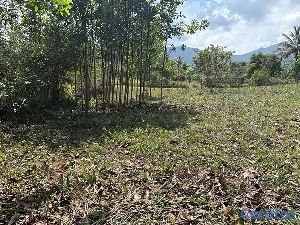 solares y terrenos - Terreno Campestre en Los Mogotes, Villa Altagracia. 2