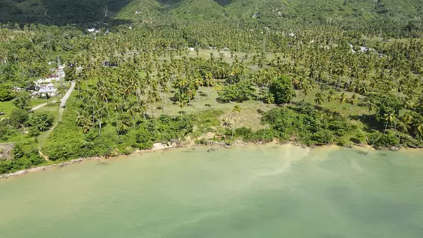 solares y terrenos -  Vendo   Terreno con 46,000.00 Mt2 en Samaná  4