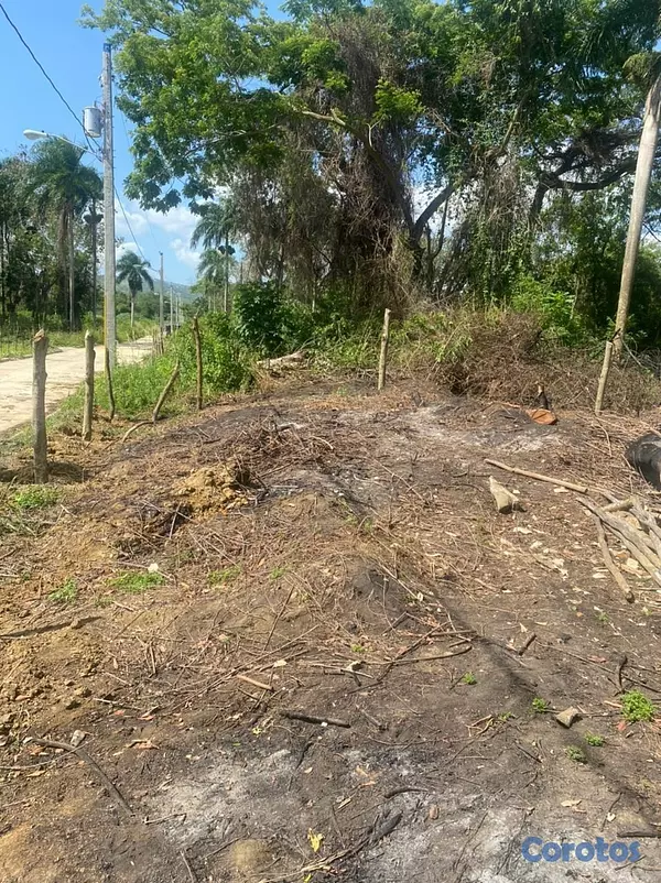 solares y terrenos - Terreno de Venta en Gurabo, Santiago 3