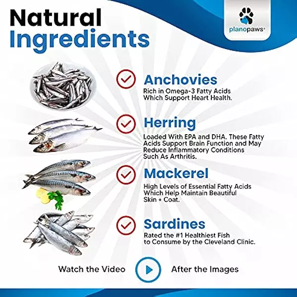 Salud y Equipamiento Médico - Aceite De Pescado Omega 3 Para Perros 5