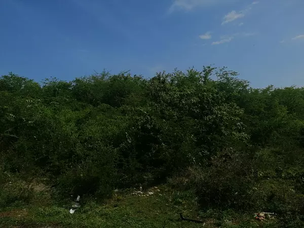 solares y terrenos - Terreno de 96,000 metros al Lado Campos Grandes Ligas 5