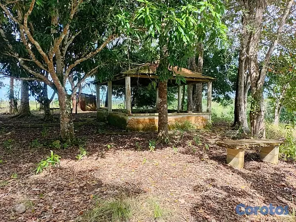otros inmuebles - finca de 4a tareas en sabana grande de boya  3