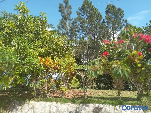 solares y terrenos - SE VENDE HERMOSA FINCA EN EL CACAO de San Cristoba 9