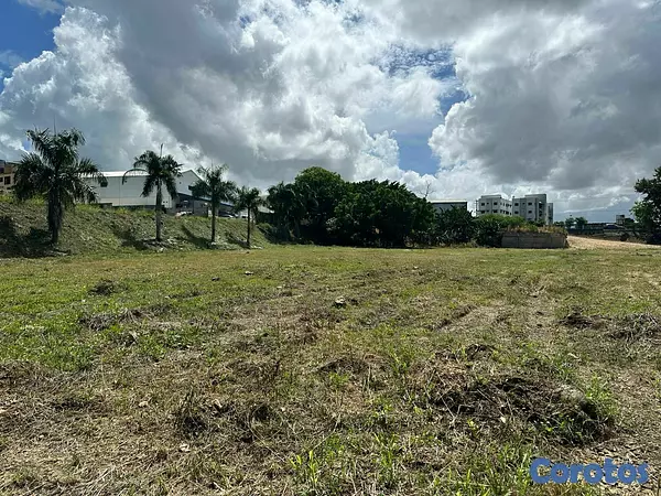 solares y terrenos - Solar en Hato Nuevo Frente a mi vivienda Feliz 10