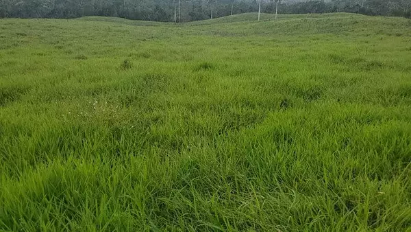 solares y terrenos - Finca de 4,480 tareas en Hato Mayor 3