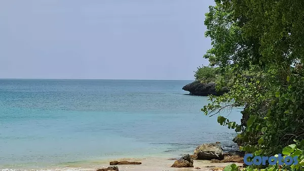 solares y terrenos - Se vende terreno en playa de Moron, Samana 8