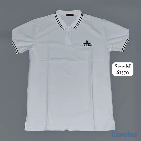 ropa para hombre - Colección de 8 camisetas de diseñador en excelente estado. 9