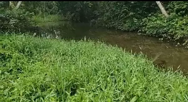 solares y terrenos - Finca de 4,480 tareas en Hato Mayor 4