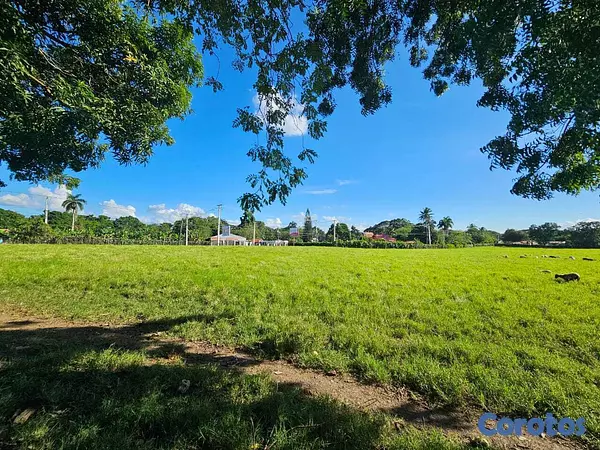 solares y terrenos - Solar de 168620m2 San Francisco de macoris 3