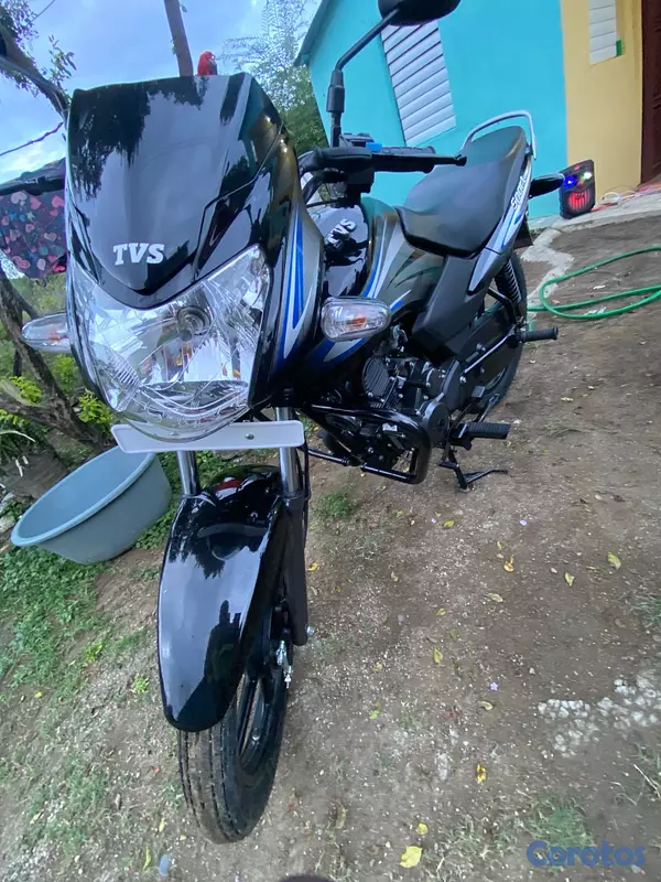 motores y pasolas - TVS 100 sport 2024 5