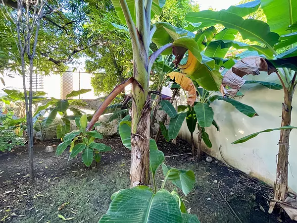 casas - casa en las praderas en venta 7