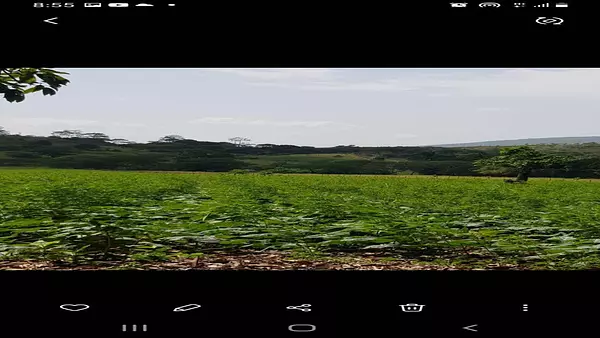 solares y terrenos - Terreno en Venta en las Matas de farfan 3