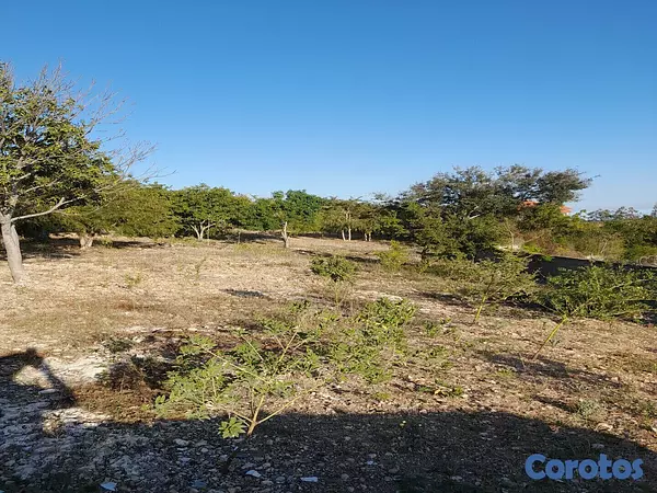 solares y terrenos - Se Vende Terreno con su Certificado de Título. 3