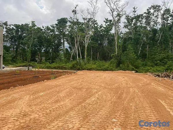 solares y terrenos - Lotes en Venta en Las Terrenas – Excelente Oportun 4