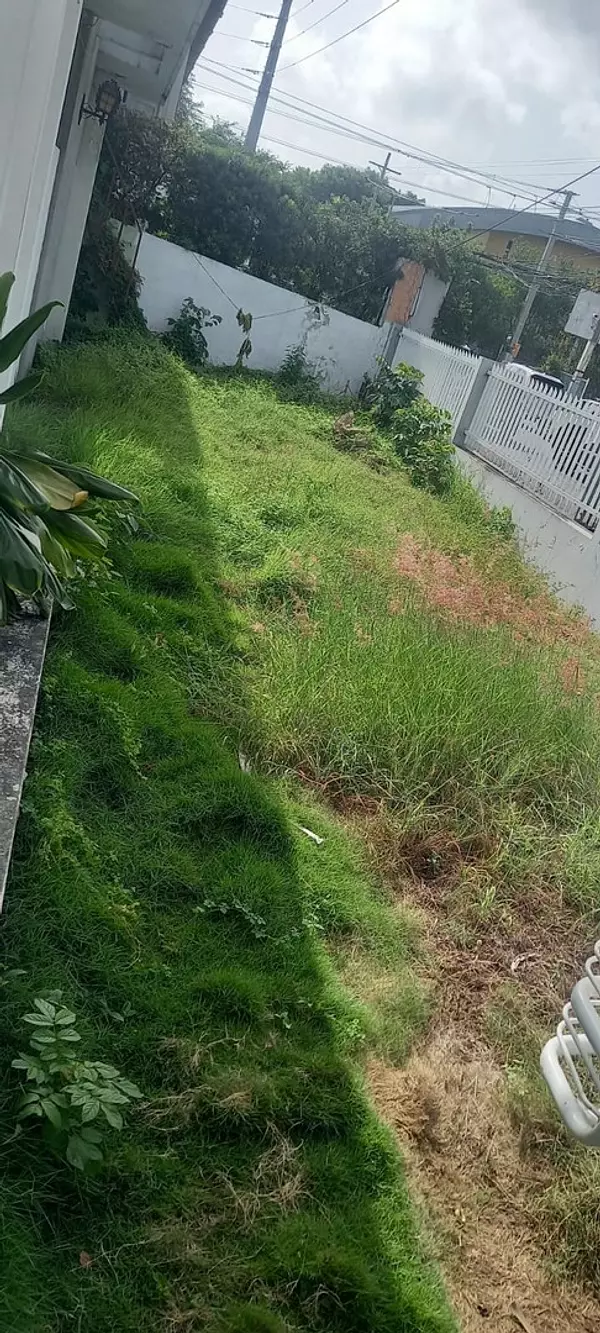 casas - 🔵Alquilo Casa  400 mts para oficina o negocio en Naco 
 2