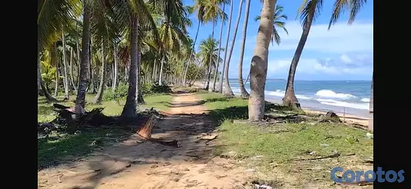 solares y terrenos - Terreno Frente a la playa - 17,615 m² - Sabana de  6