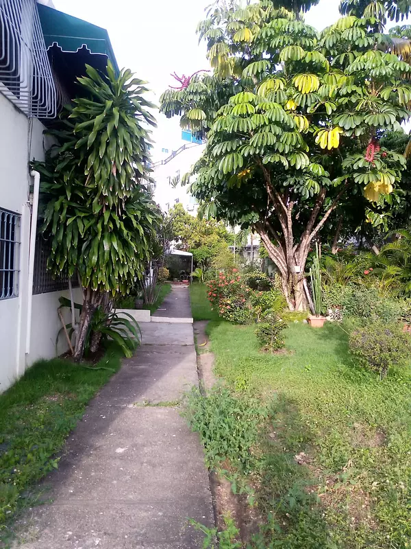 casas -  VENDO CASA EN RENACIMIENTO  2