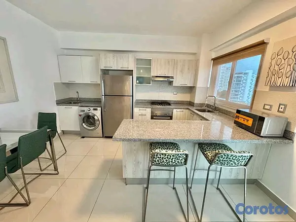 apartamentos - Alquilo Apartamento Amueblado en Piantini  5