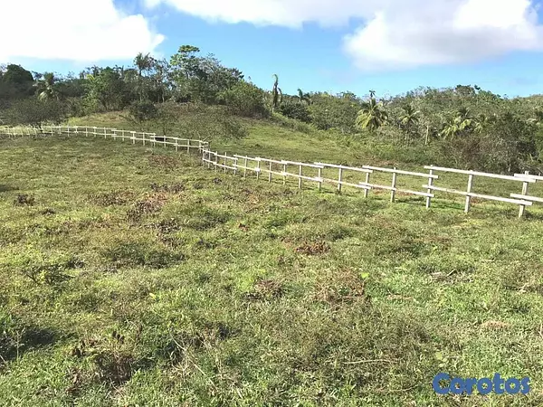 solares y terrenos - Terreno en venta con potencial para proyectos 6