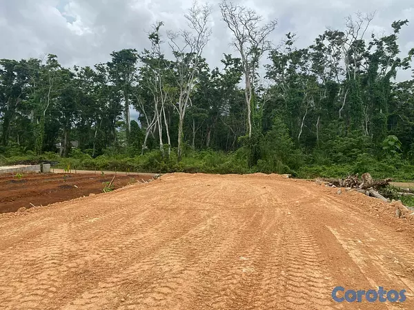 solares y terrenos - Lotes en Venta en Las Terrenas – Excelente Oportun 5