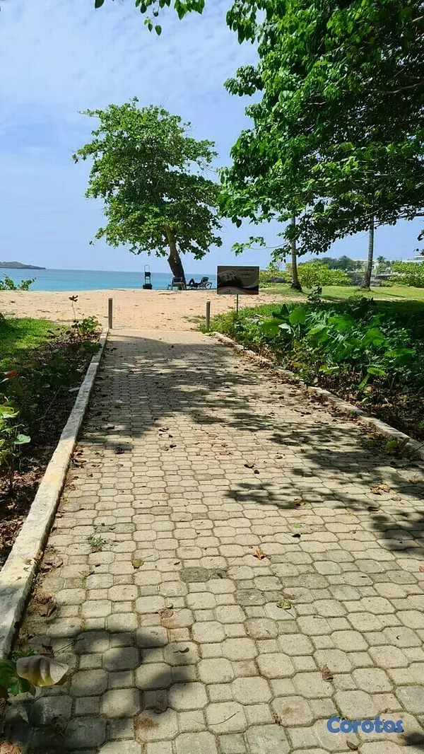 solares y terrenos - Se vende terreno en playa de Moron, Samana 10