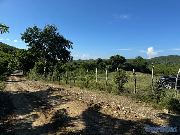 solares y terrenos - Finca en Bani 189.5 Tareas Titulo Definitivo   9