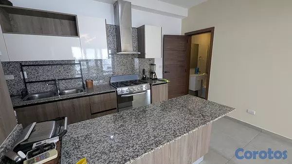 apartamentos - Amplio apartamento en alquiler amueblado en La Esp 10