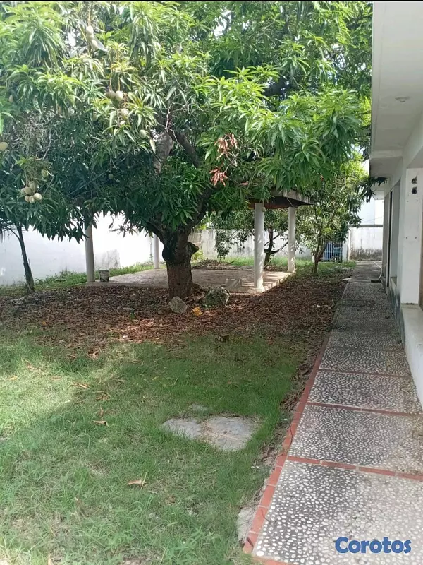 casas - Alquilo  Casa para Oficinas y almacen  3
