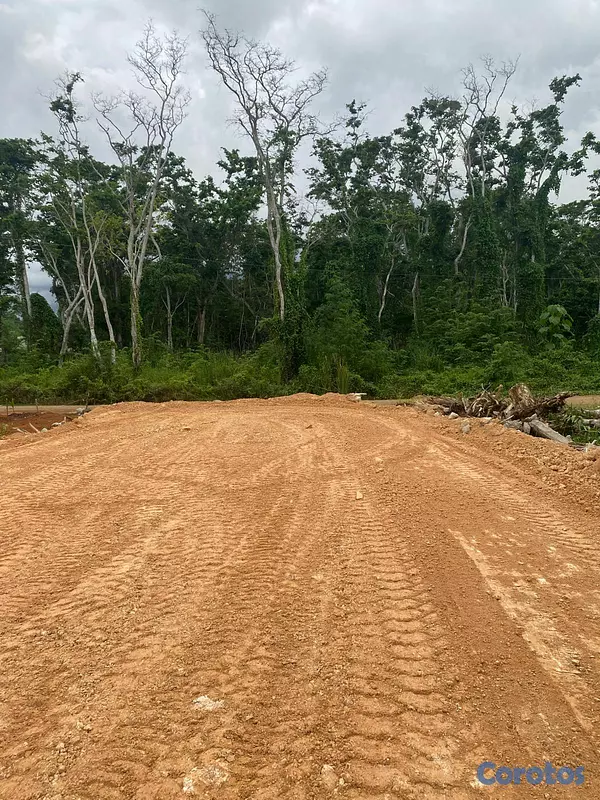 solares y terrenos - Lotes en Venta en Las Terrenas – Excelente Oportun 6