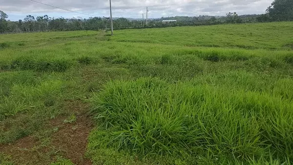solares y terrenos - Finca de 4,480 tareas en Hato Mayor 8
