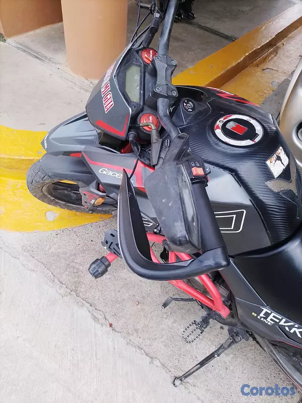 motores y pasolas - Motor Teken Gacela 250 2