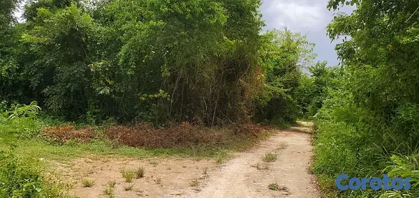 solares y terrenos - Solar en venta con titulo deslindado e impuestos al dia listo en Juan Dolio 5
