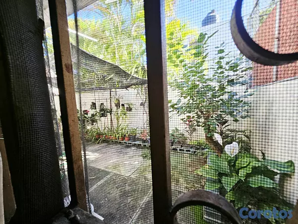 casas - Alquiler de Casa en Los Prados  3