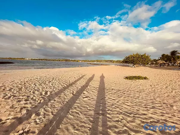 apartamentos - Apartamento en venta | A pasos de la playa 8