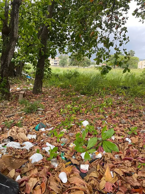 solares y terrenos - Terreno de Venta en el Malecon, Puerto Plata  4