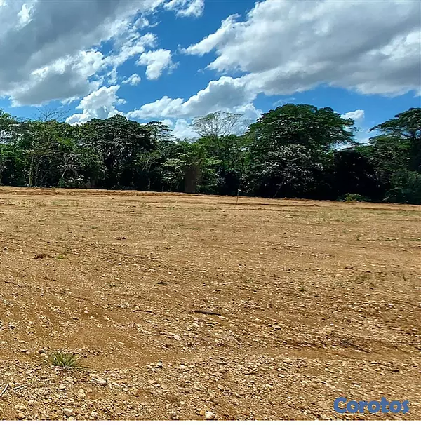 solares y terrenos - EXCELENTES SOLARES INDUSTRIALES EN VENTA EN EL KM18 AUTOPISTA DUARTE. 3