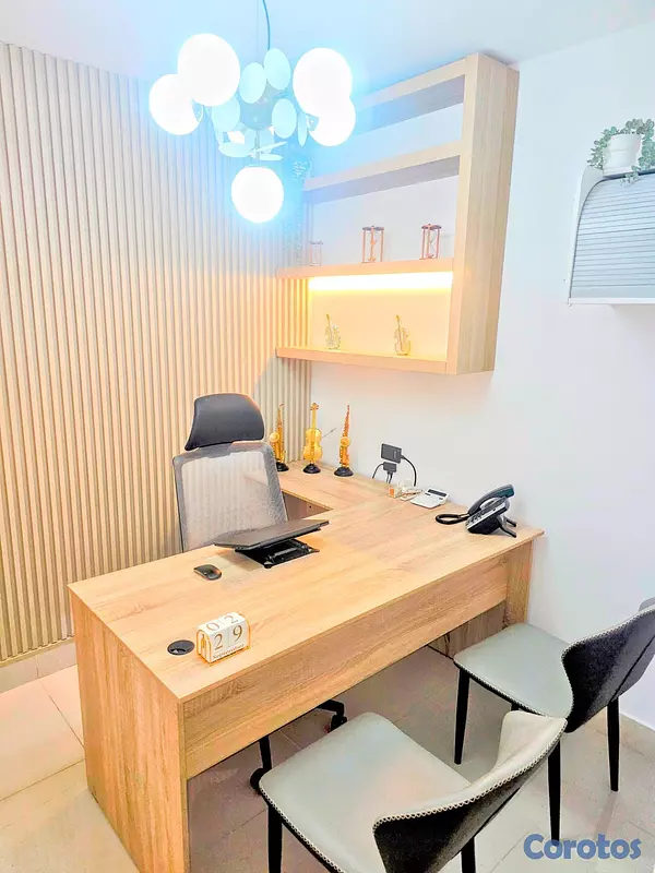 oficinas y locales comerciales - Alquiler de Oficinas Amuebladas en Céntrico Naco 3