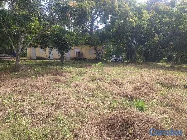 solares y terrenos - finca de 57 tareas con casa campestre en sabana grande de boya  7