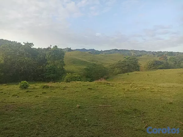 solares y terrenos - Finca Ganadera Oportunidad a 45 Minutos de ciudad 3