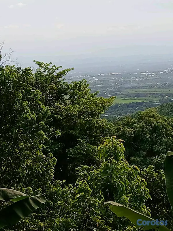 solares y terrenos - Se vende finca en montaña de Moca, las lagunas ideal para cabañas o villas  2