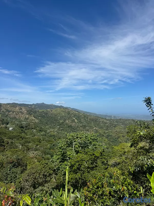 solares y terrenos - Solares en la montaña con vista a puerto plata  7