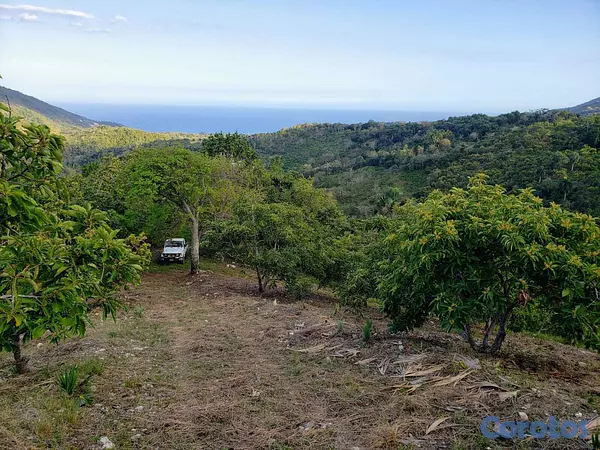 solares y terrenos - Vendo Finca de AGUACATE en Paraíso, BARAHONA, 255,600 Mts.2, VISTA AL MAR (en Pr 6