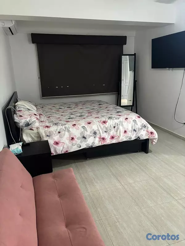 apartamentos - Bello y amplio apartamento en arroyo hondo viejo 5