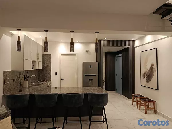 apartamentos - Apartamento Tipo Loft Amueblado en Evaristo Morale 4