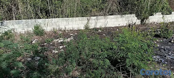 solares y terrenos - Solar en el Residencial Los Jardines de Bocha Chica 4