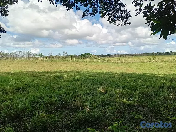 otros inmuebles - finca de 4a tareas en sabana grande de boya  4