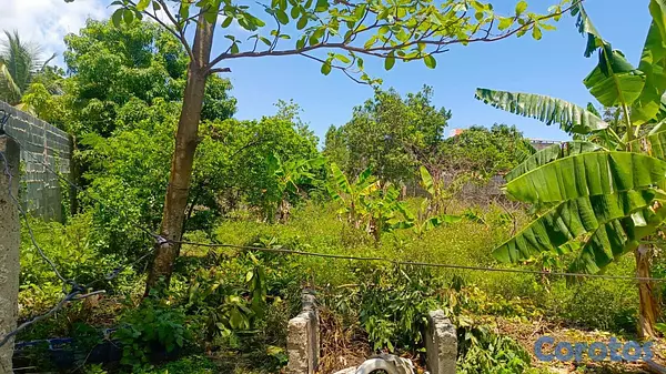solares y terrenos - 🏞️ Solar en Venta – Valiente, Km 21 Las Américas  1