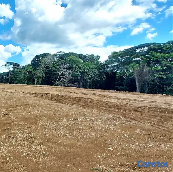 solares y terrenos - EXCELENTES SOLARES INDUSTRIALES EN VENTA EN EL KM18 AUTOPISTA DUARTE. 4