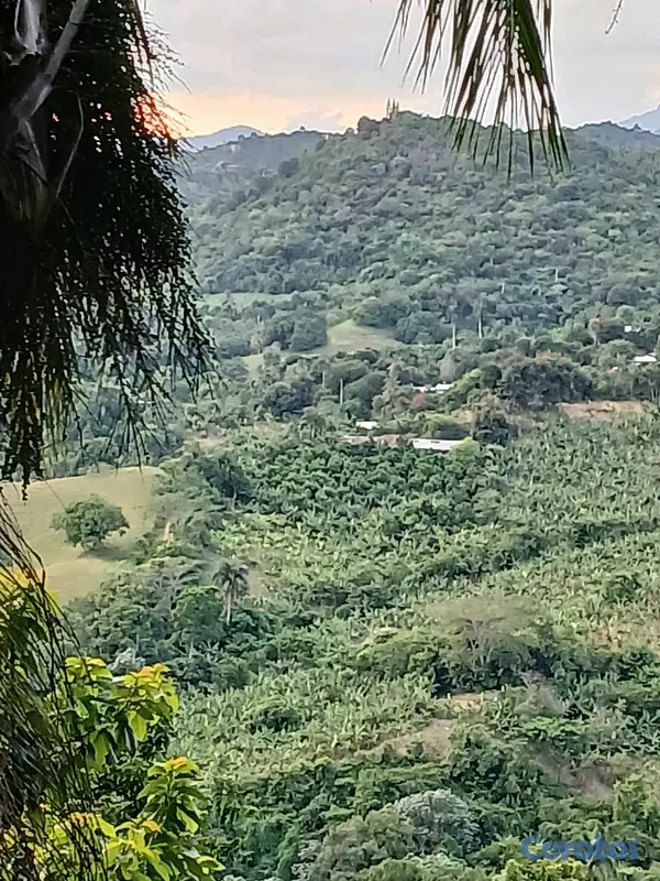 solares y terrenos - Se vende finca en montaña de Moca, las lagunas ideal para cabañas o villas  4