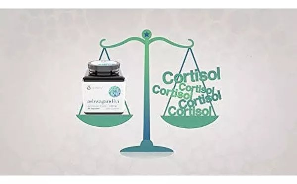Salud y Equipamiento Médico - Youtheory Ashwagandha 60 Unidades (1 Botella) 4